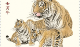 四虎视频在线观看,在线观看的激情之旅