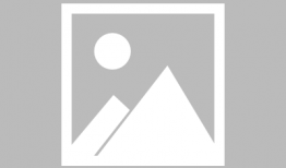 油锯使用方法视频教程,视频教程精华解析